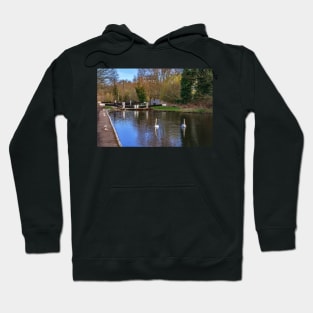 Swans At Greenham Lock Hoodie